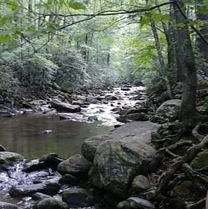 Meet your Posher, Caleb